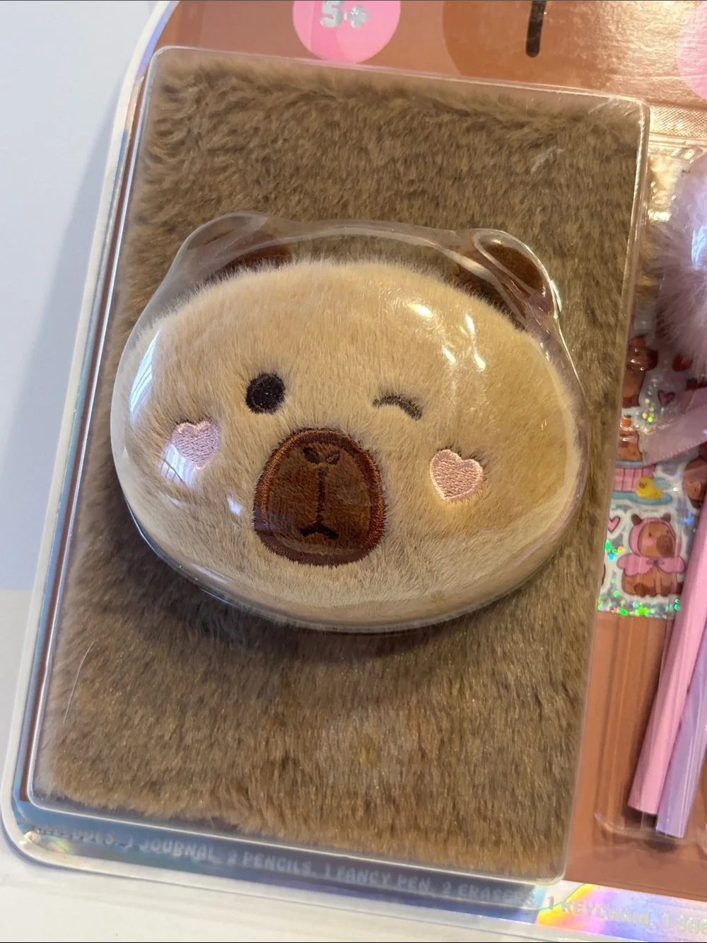 Danbar Global Capybara Stationery Set
